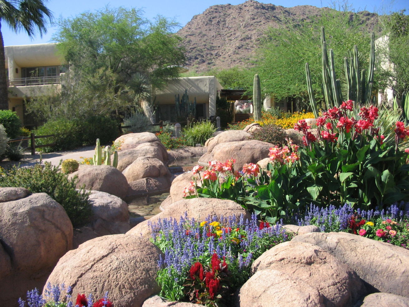 Phoenix Arizona
