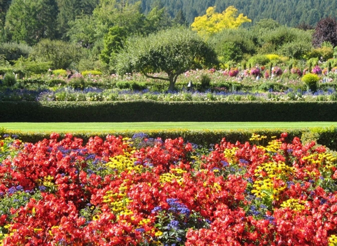 Gardens_Butchart