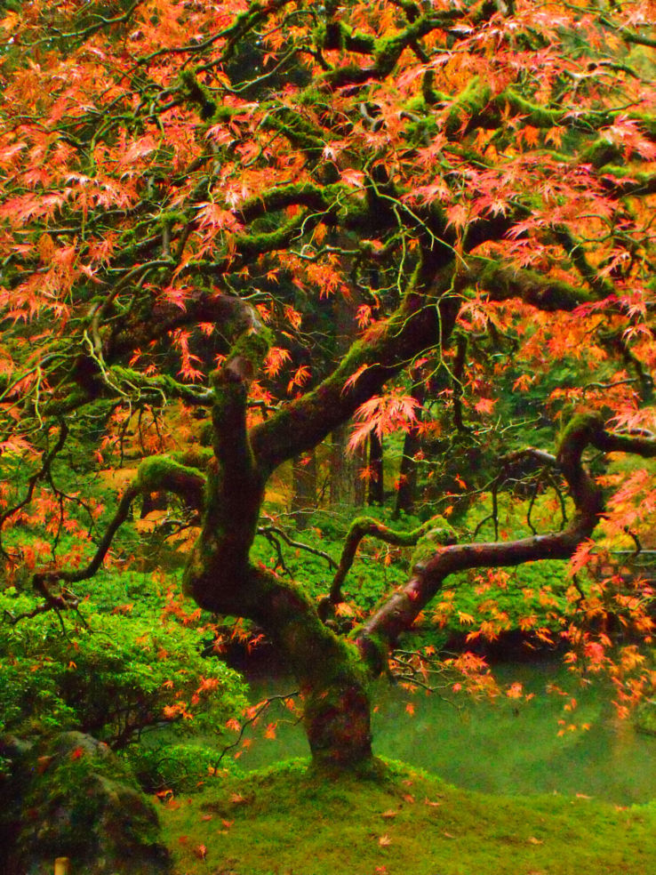 Gardens_Portland