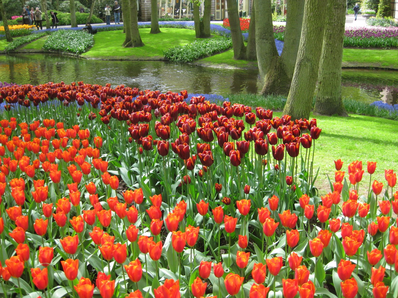 Gardens_Keukenhof