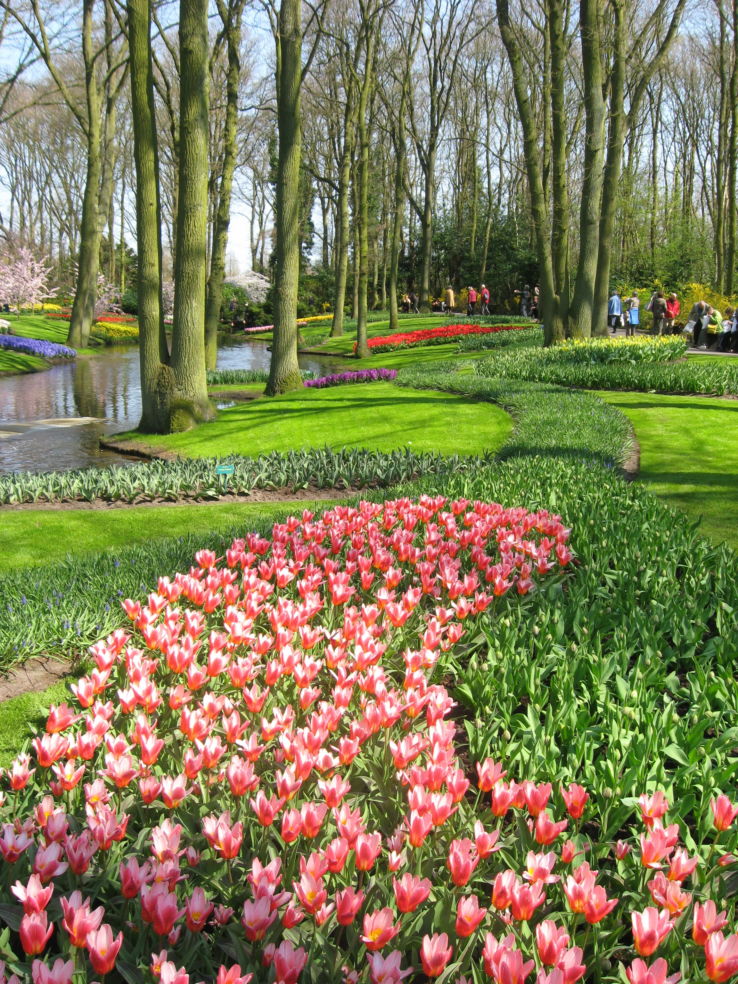 Gardens_Keukenhof