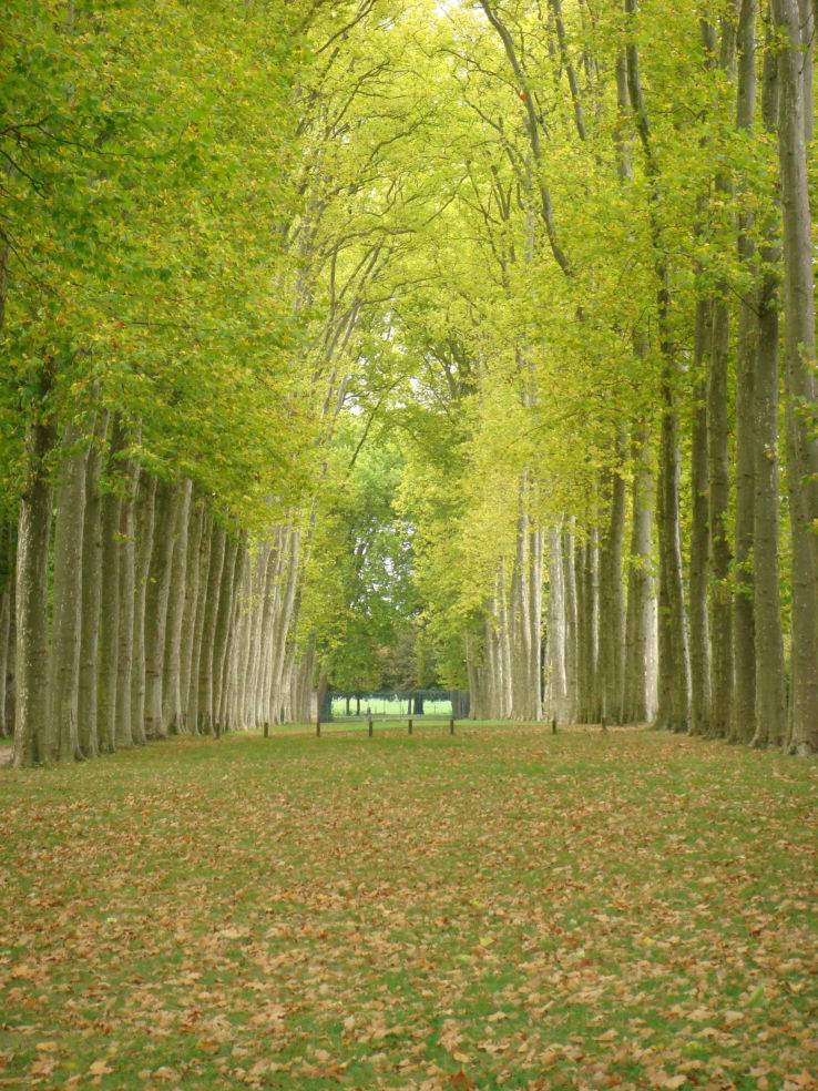 Gardens Versailles