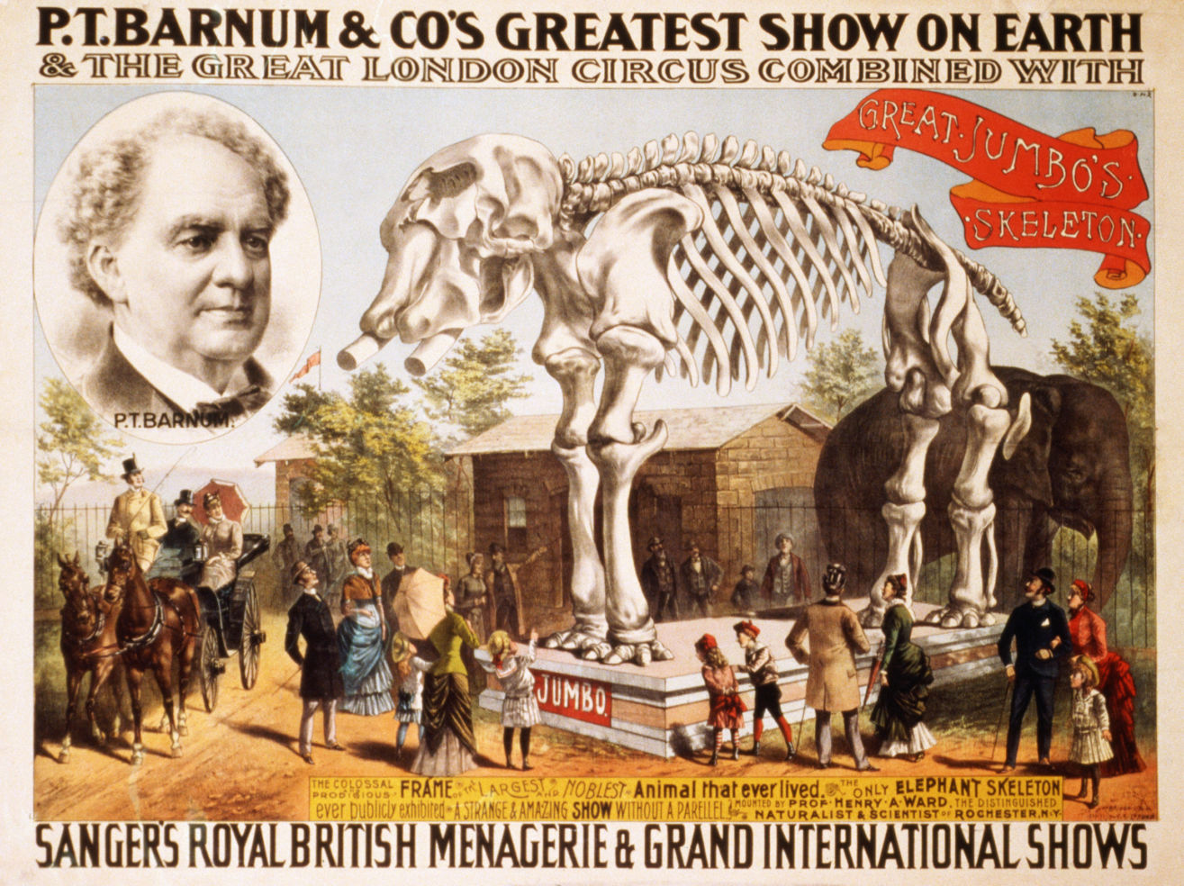 P.T. Barnum, circus poster, Great Jumbo's Skeleton, Barnum Museum, Bridgeport, Connecticut