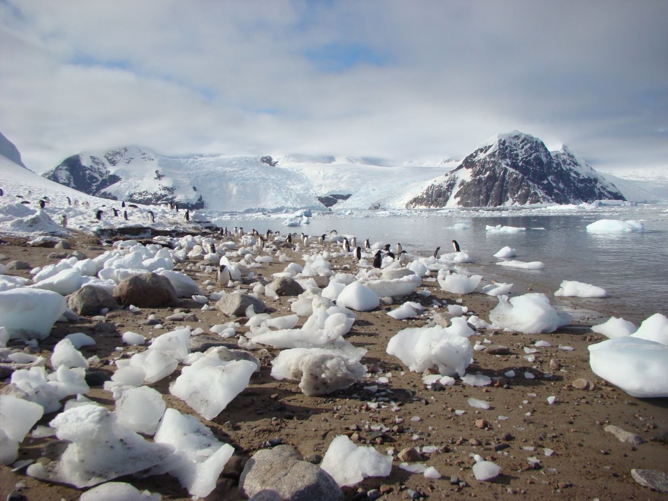 Glaciers_Antarctica