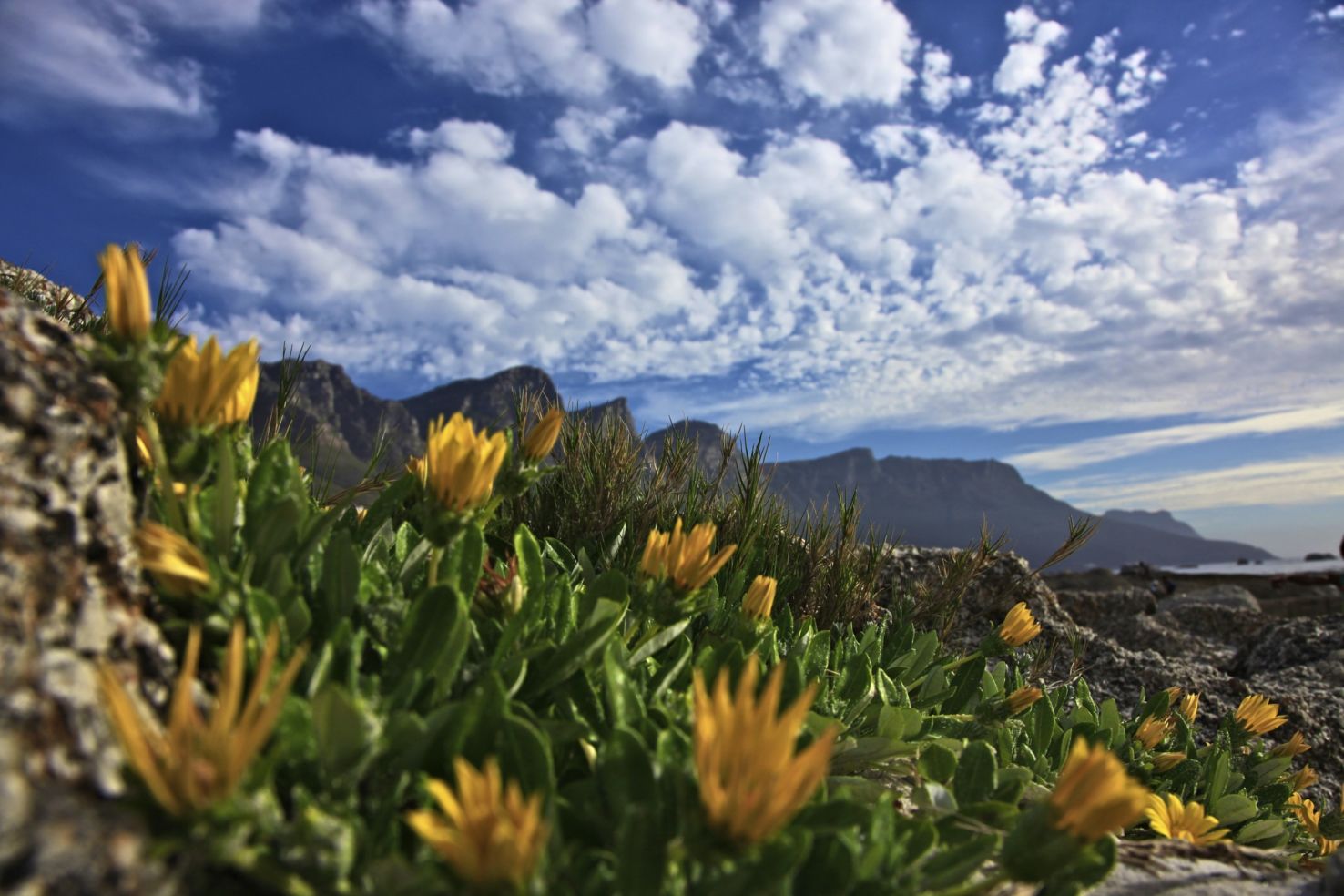 God's Window in Cape Town, South Africa