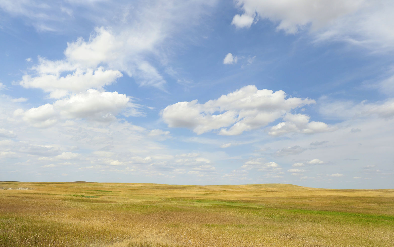 The Great Plains of America's Midwest