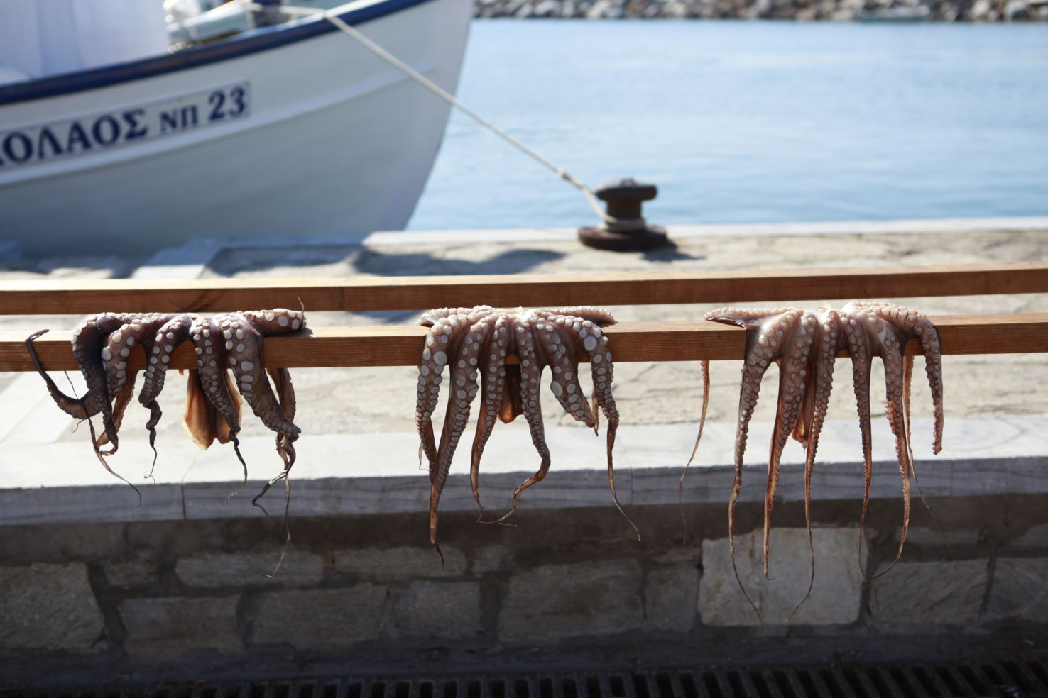 Greece_photo-essay_Paros_octopus