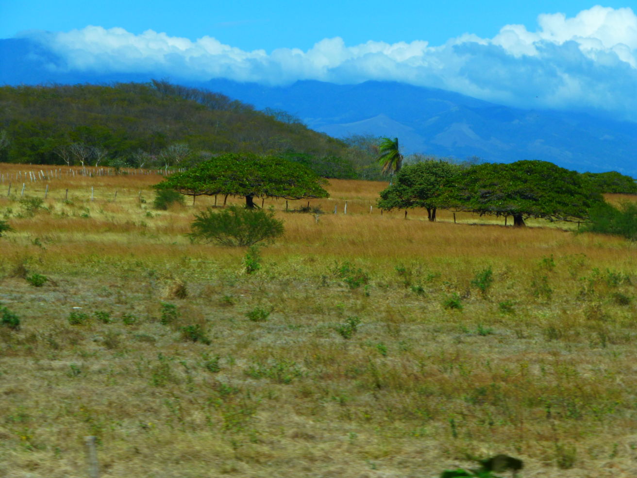 Guanacaste region of Costa Rica
