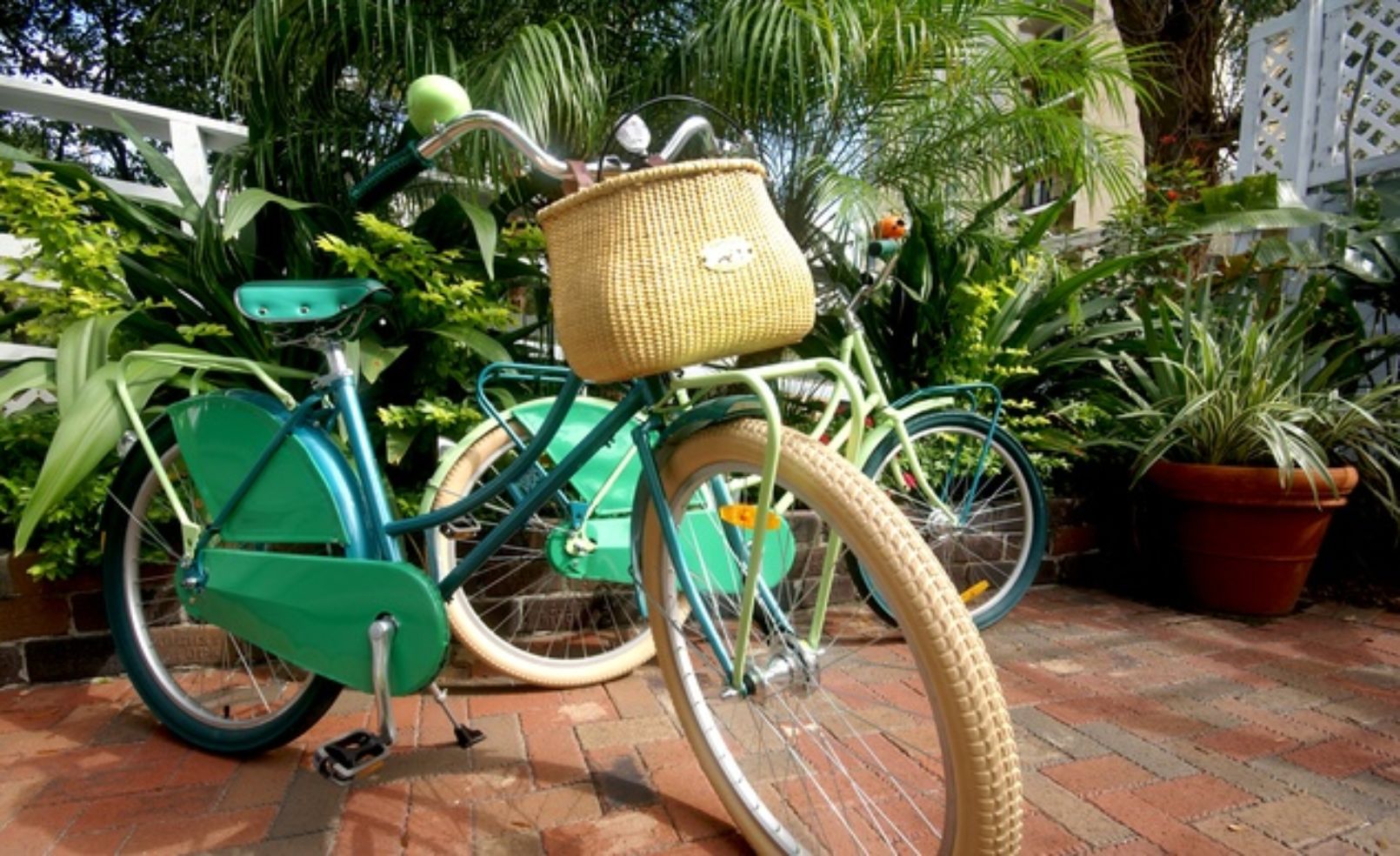 Bicycle at Watergarden Inn