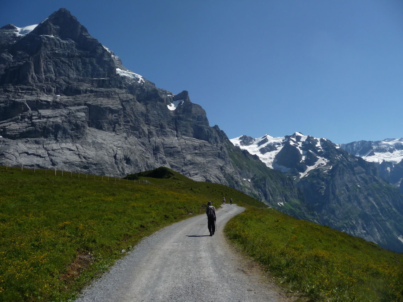 Swiss Alps Hike