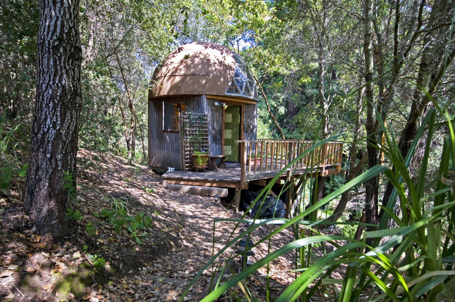 Hobbit Mushroom Dome Outside