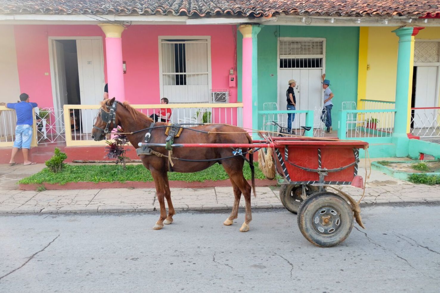 Horse drawn carts in Cuba