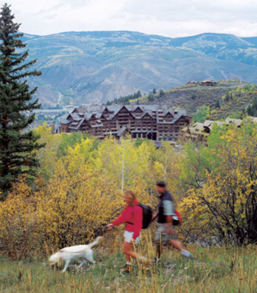 Ritz Carlton Beaver Creek dog walk