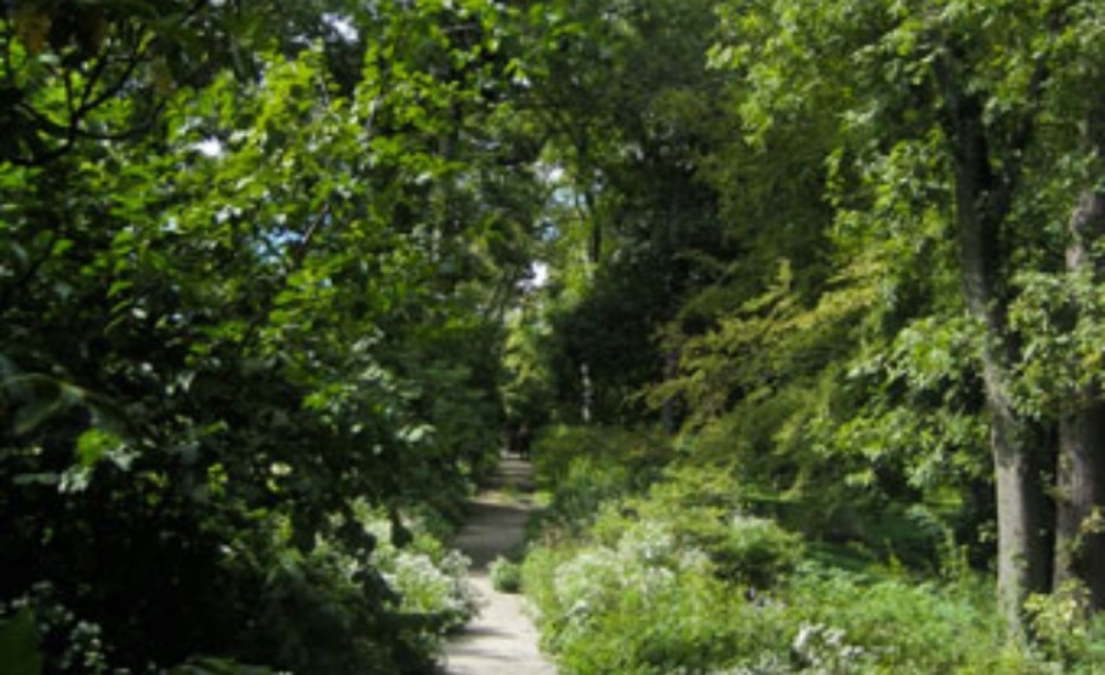 Bartram's Garden