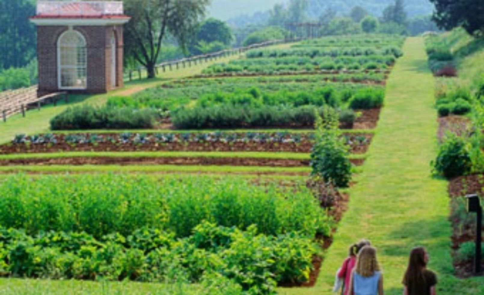 Monticello Gardens