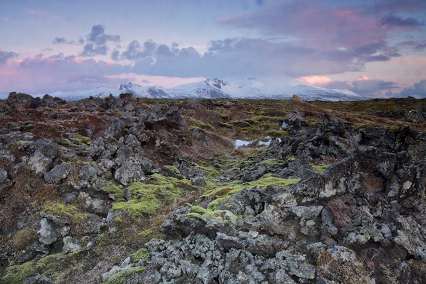 Icelandic lava field