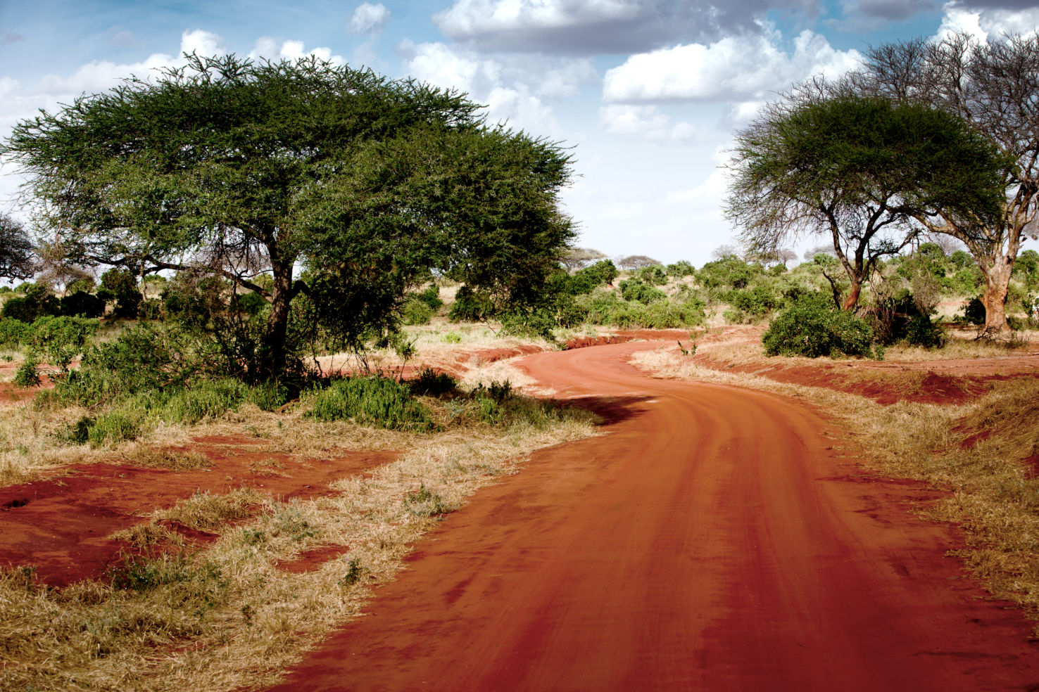 Kenya road