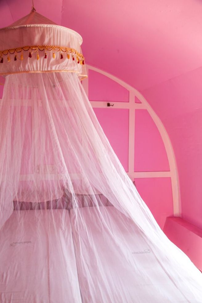 netting in pink in kerala