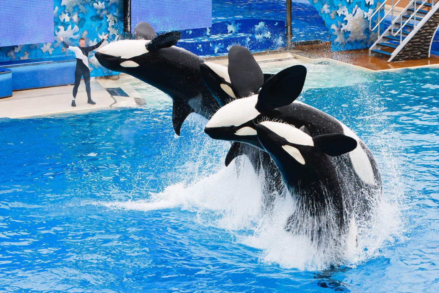SeaWorld San Diego