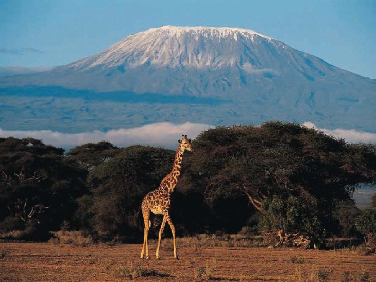 Kilimanjaro in Africa