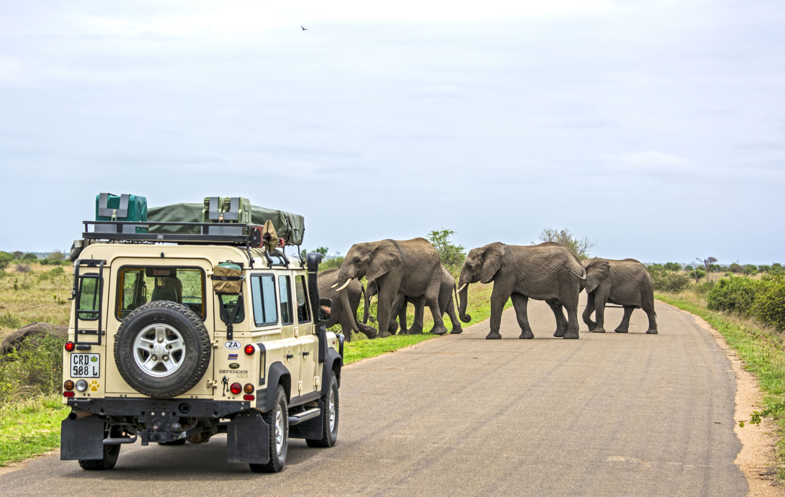 Kruger National Park, South Africa