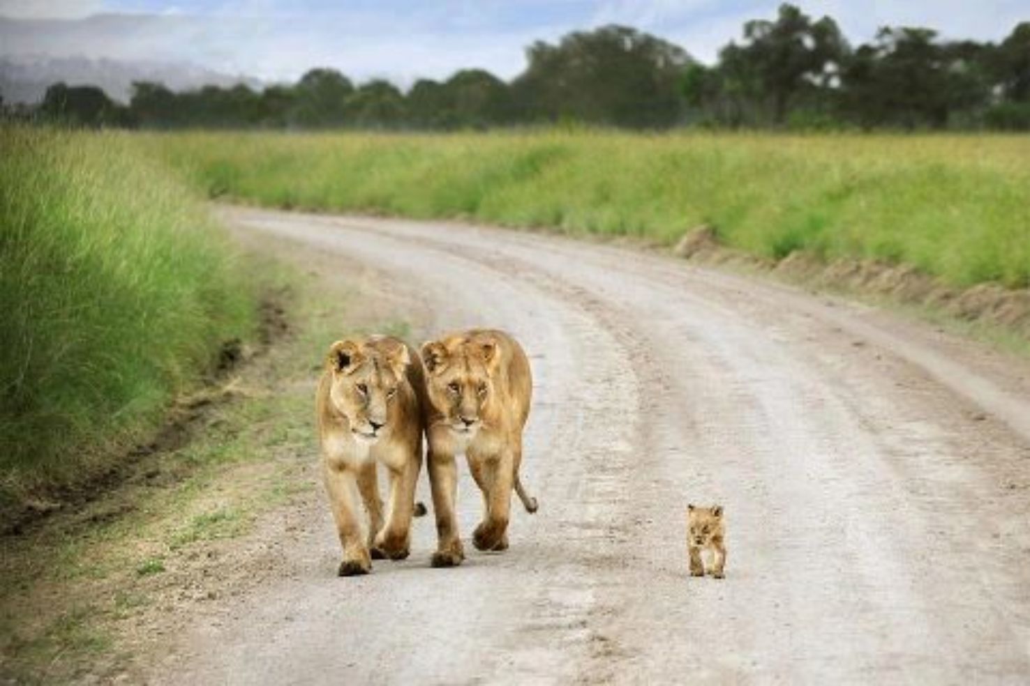 Kruger National Park