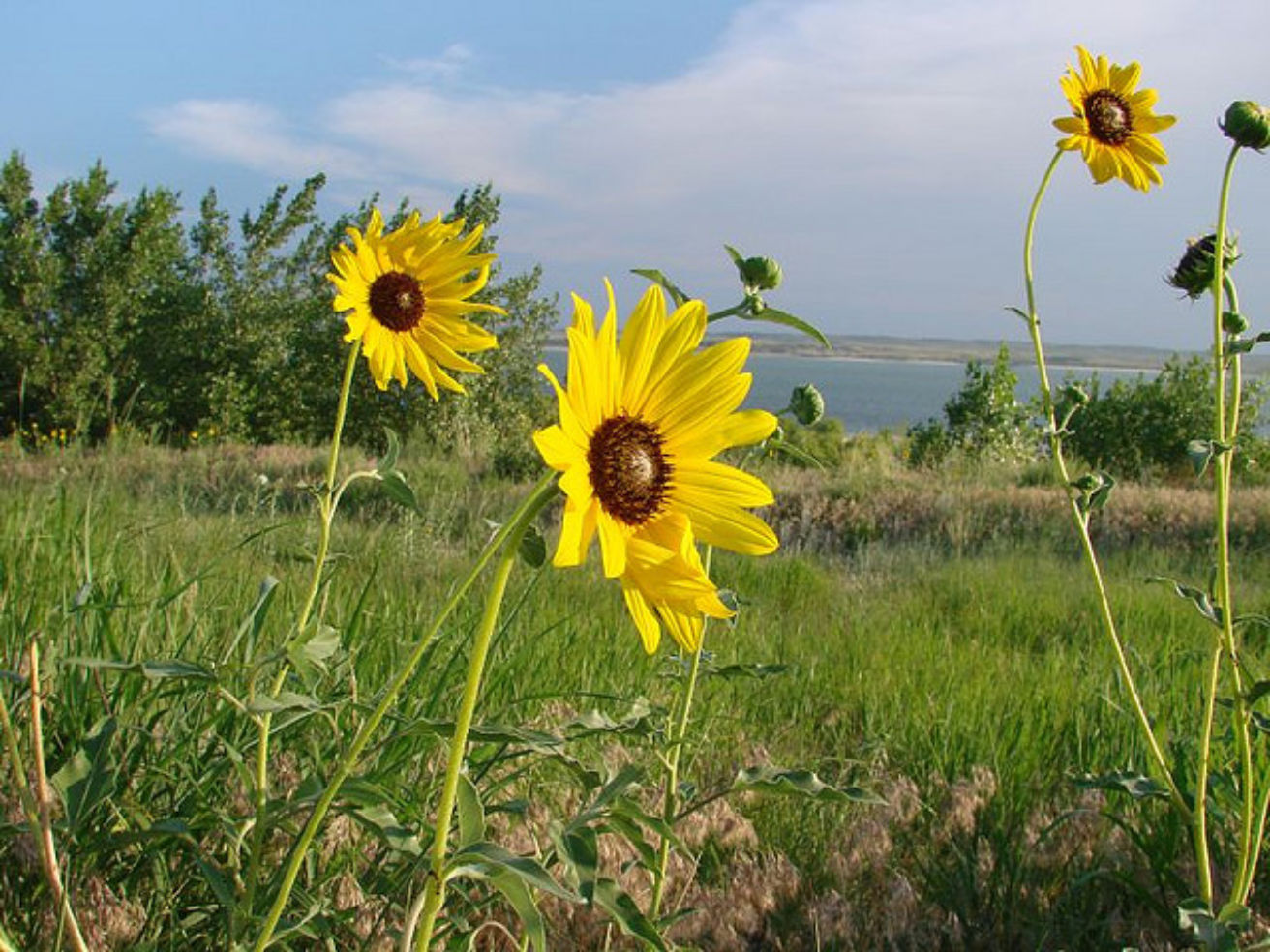 Lake McConaughy in Nebraska