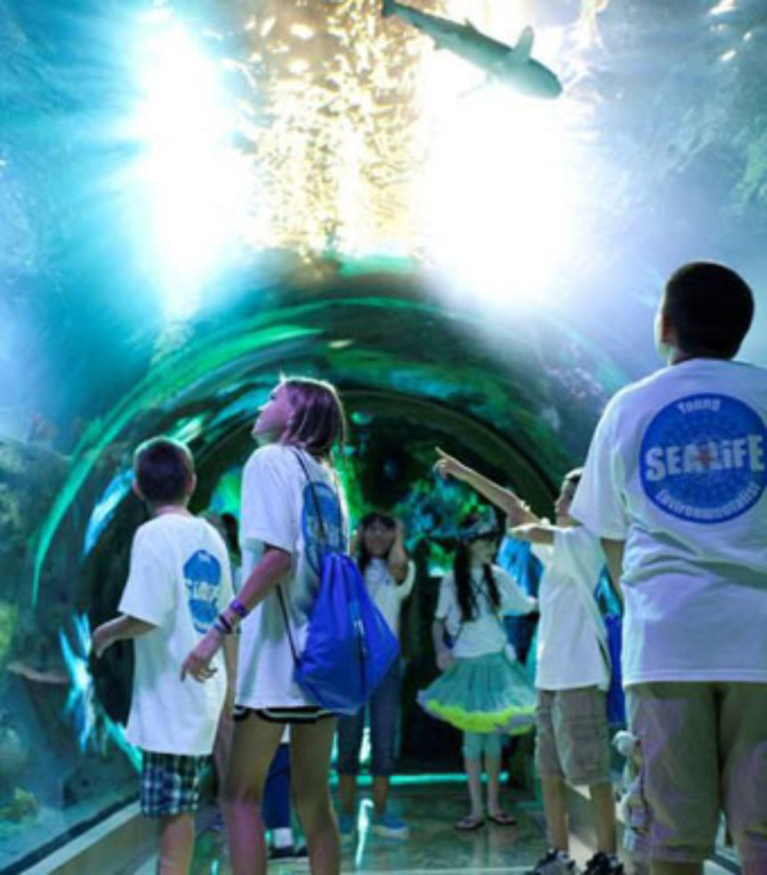 Sea Life Kansas City Aquarium