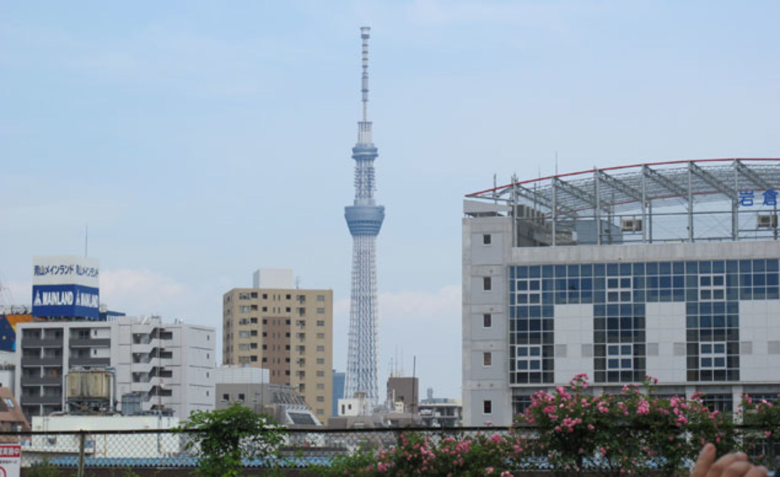 Tokyo Sky Tree skyline
