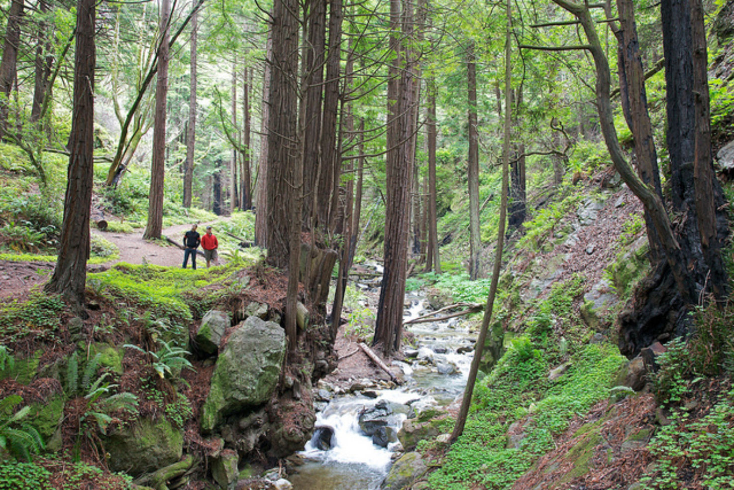 Limekiln State Park in New York