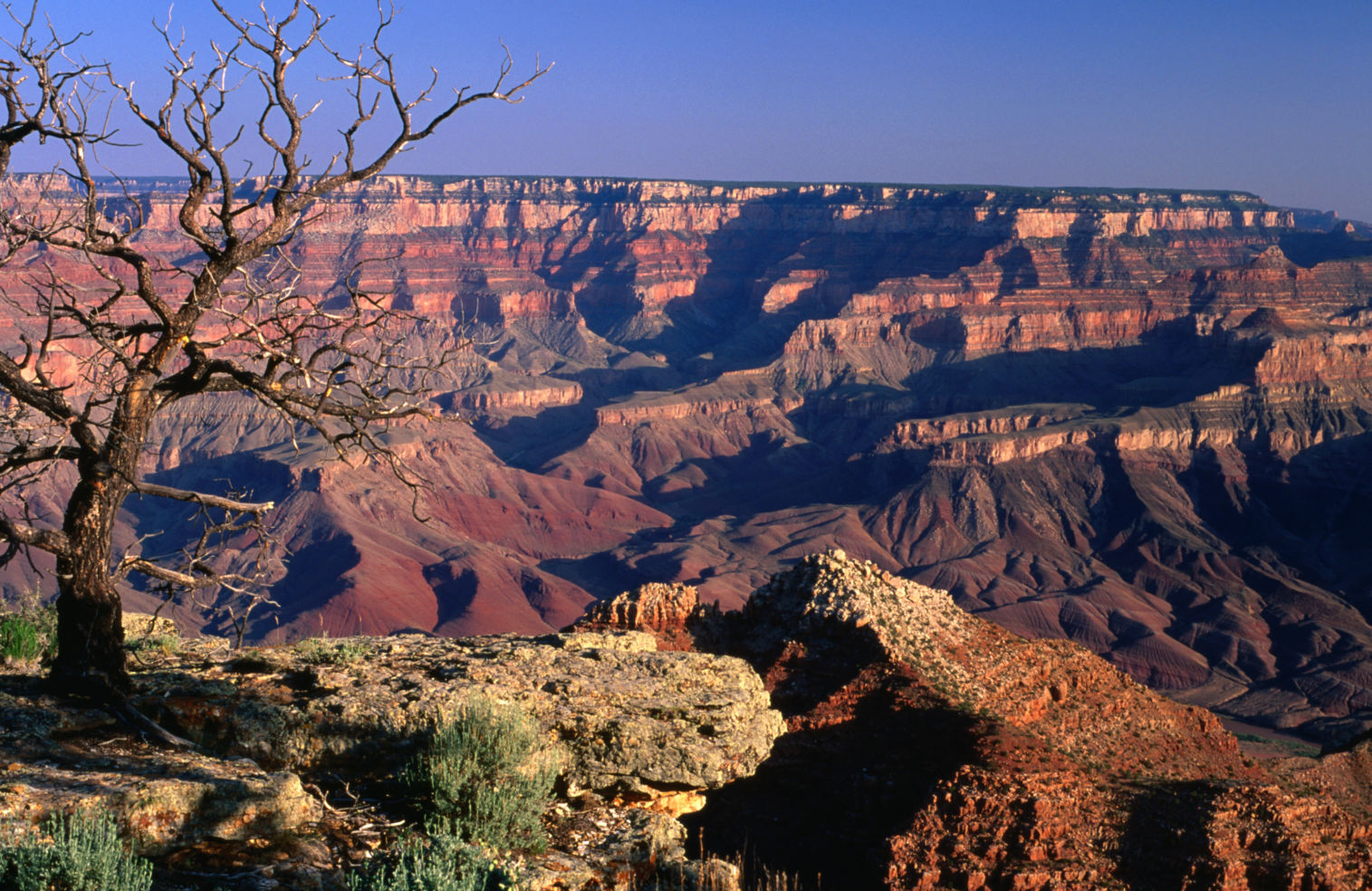 The Grand Canyon