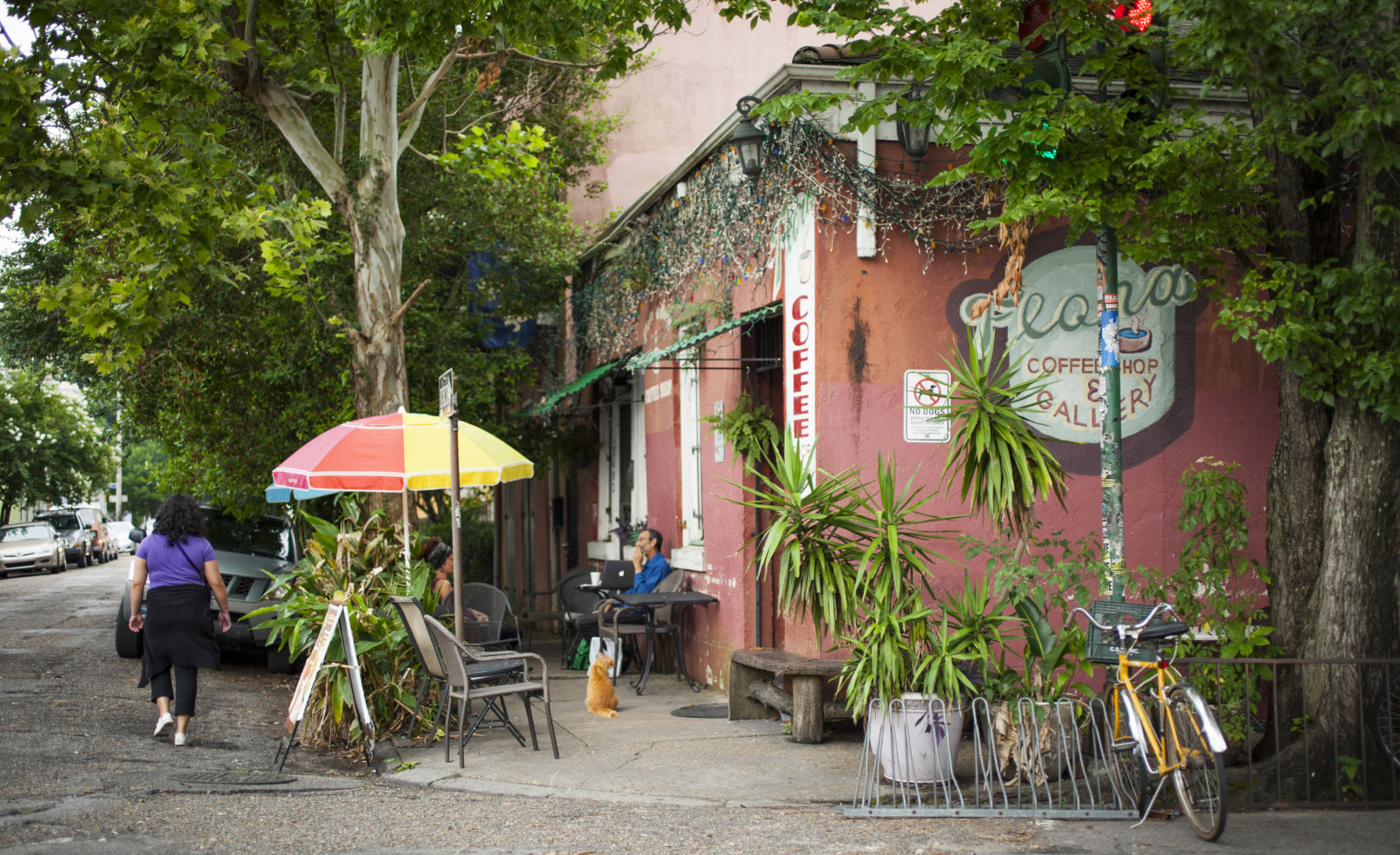 Frenchman coffee New Orleans