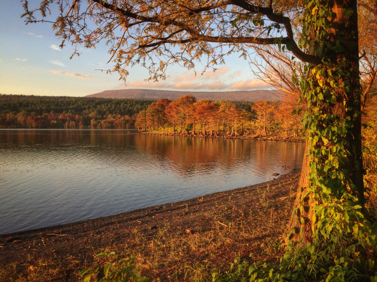 These Stunning Pics Will Make You LoveArkansas as… Budget Travel