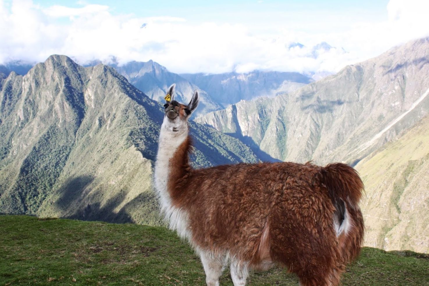 Machu Picchu, Peru