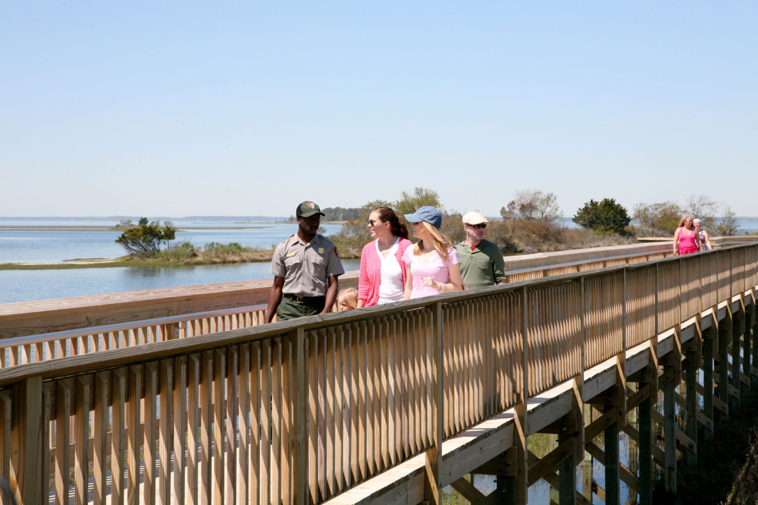 Salt marsh habitat, The Life of the Marsh Nature Trail, Assateague National Park, Marlyand