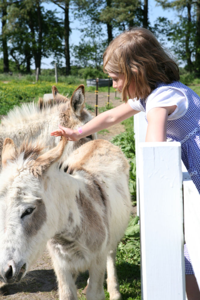 Chesapeake Bay Farms in Pocomoke City, Maryland