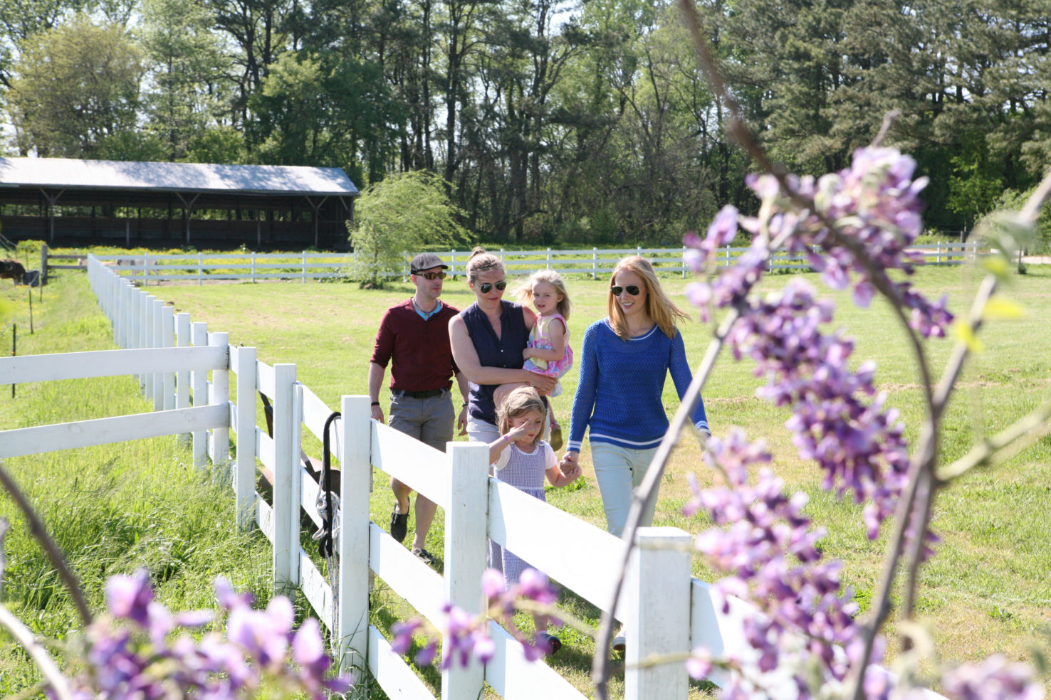 Chesapeake Bay Farms