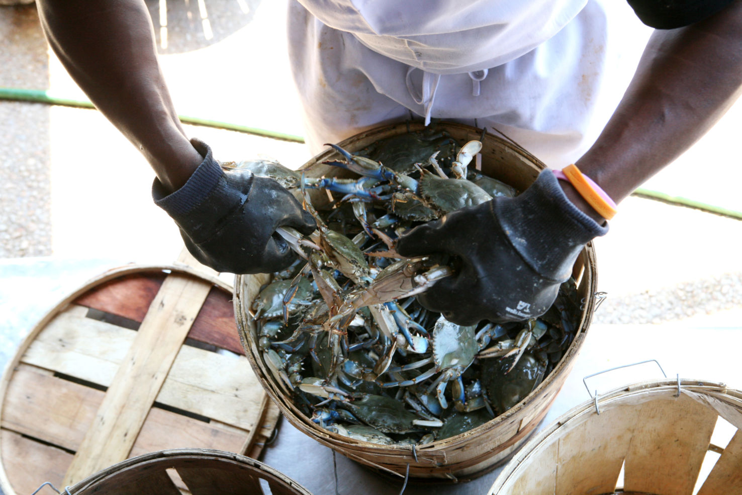 The Crab Claw in St Michaels, Maryland