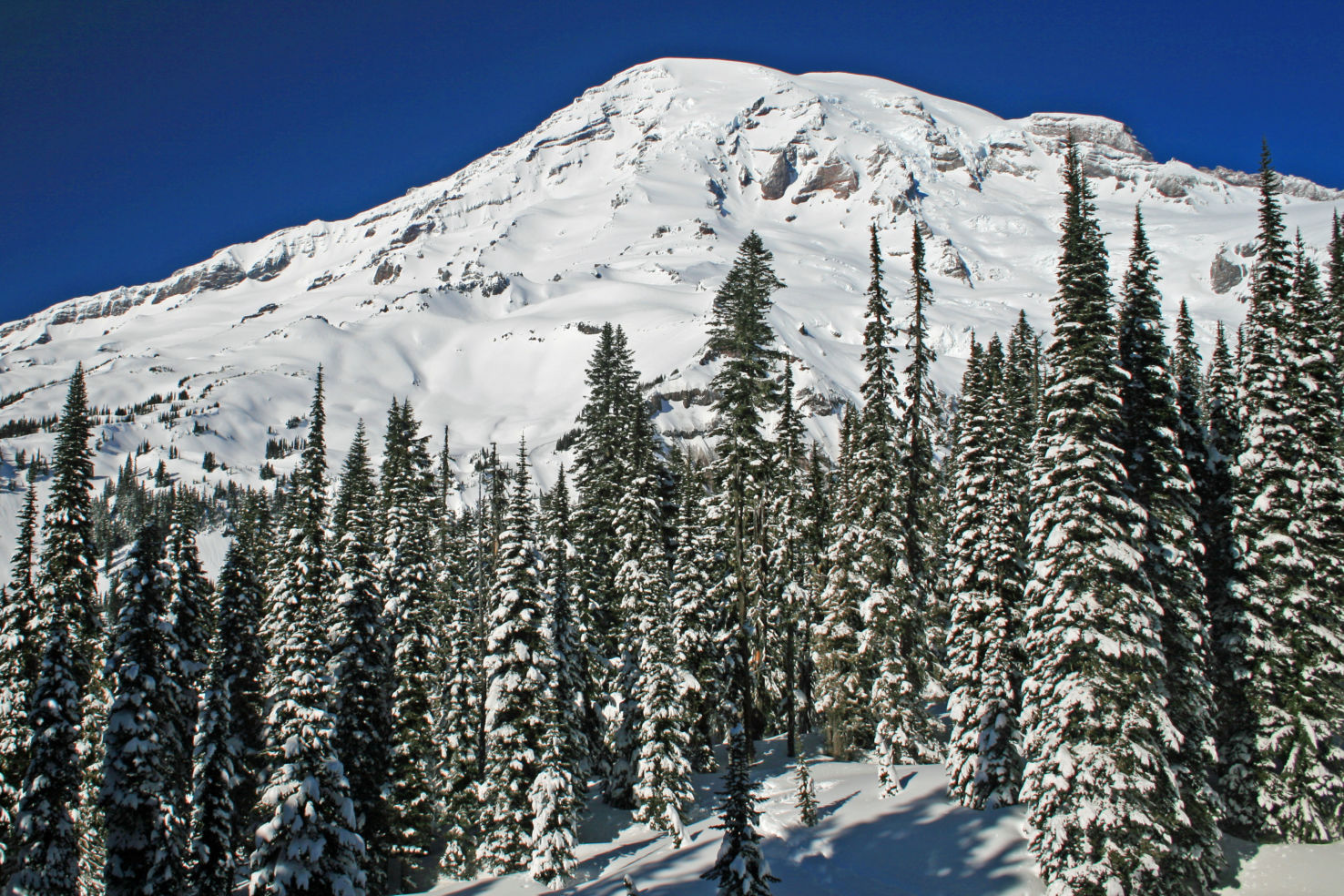 Mount Rainier Winter