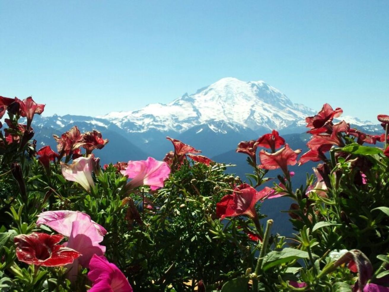 Mt rainier