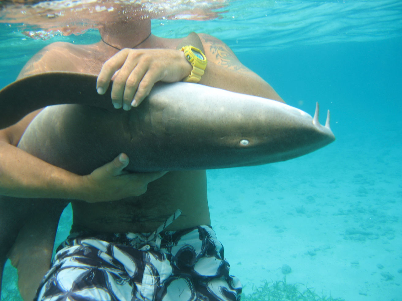 Snorkeling in Belize Central America