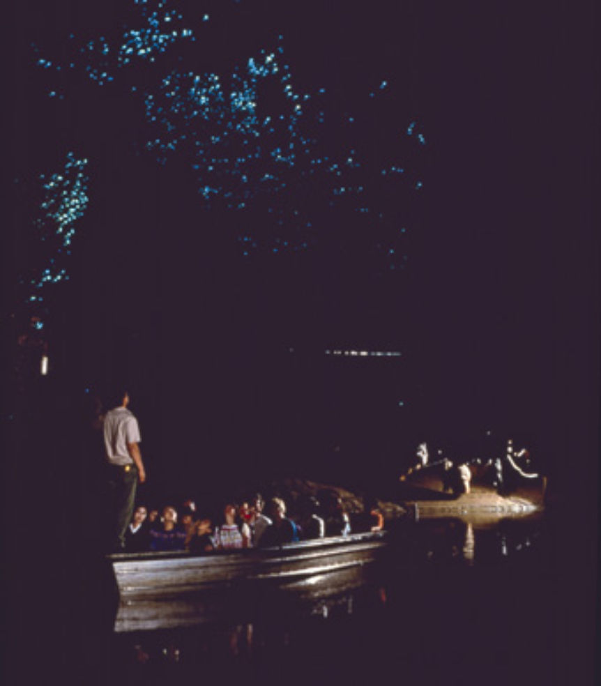Waitomo cave