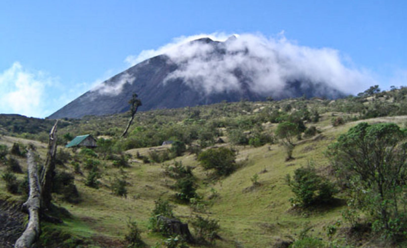 Pacaya Volcano