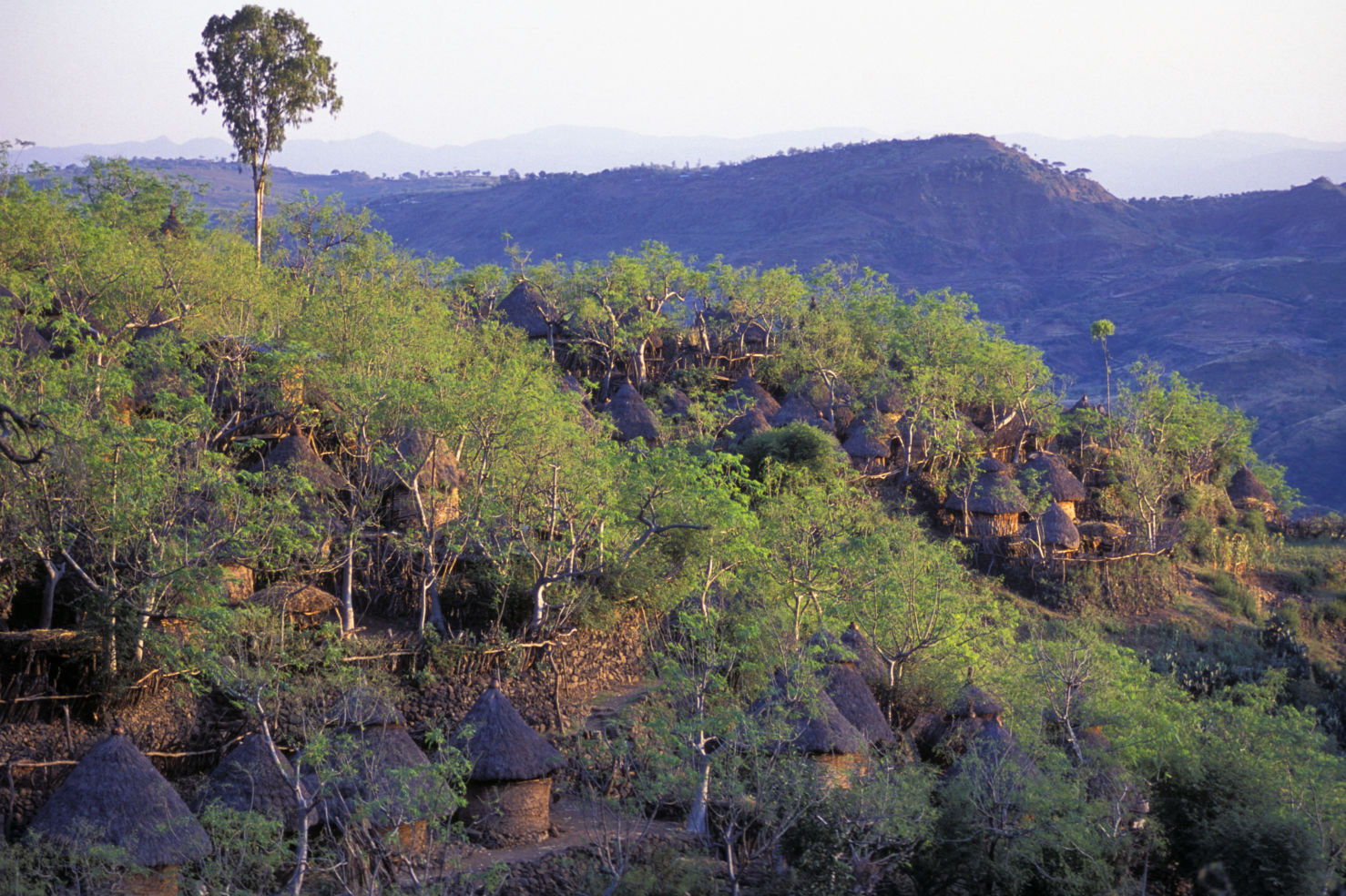 Konso Cultural Landscape