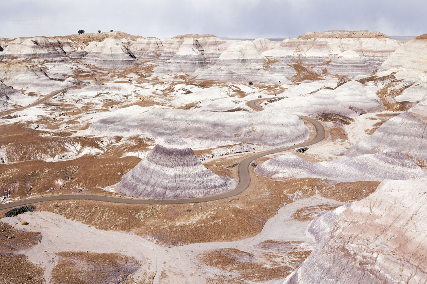 Navajo_Whitney-Tressel_Petrified-Forest_MG_4528