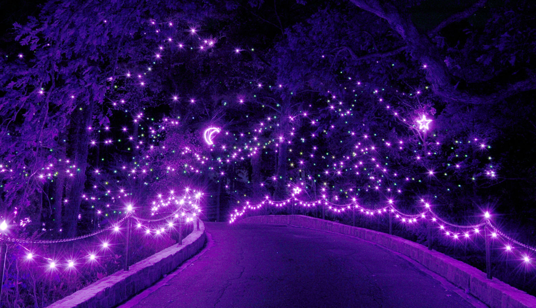 Norfolk Botanical Garden