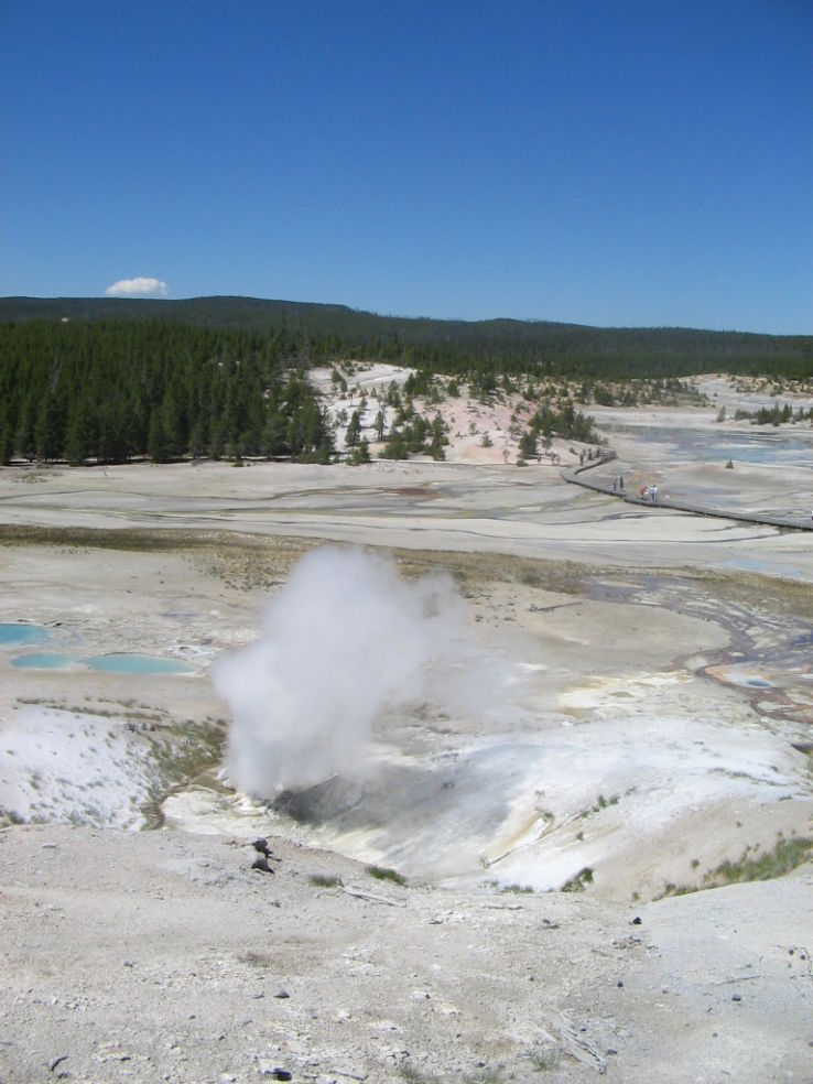 Norris geyser basin yellowstone