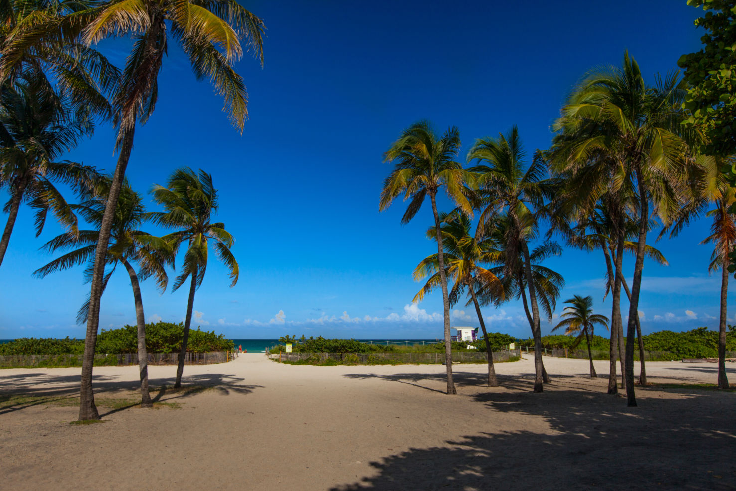 North Shore Open Space Park, Miami, Florida