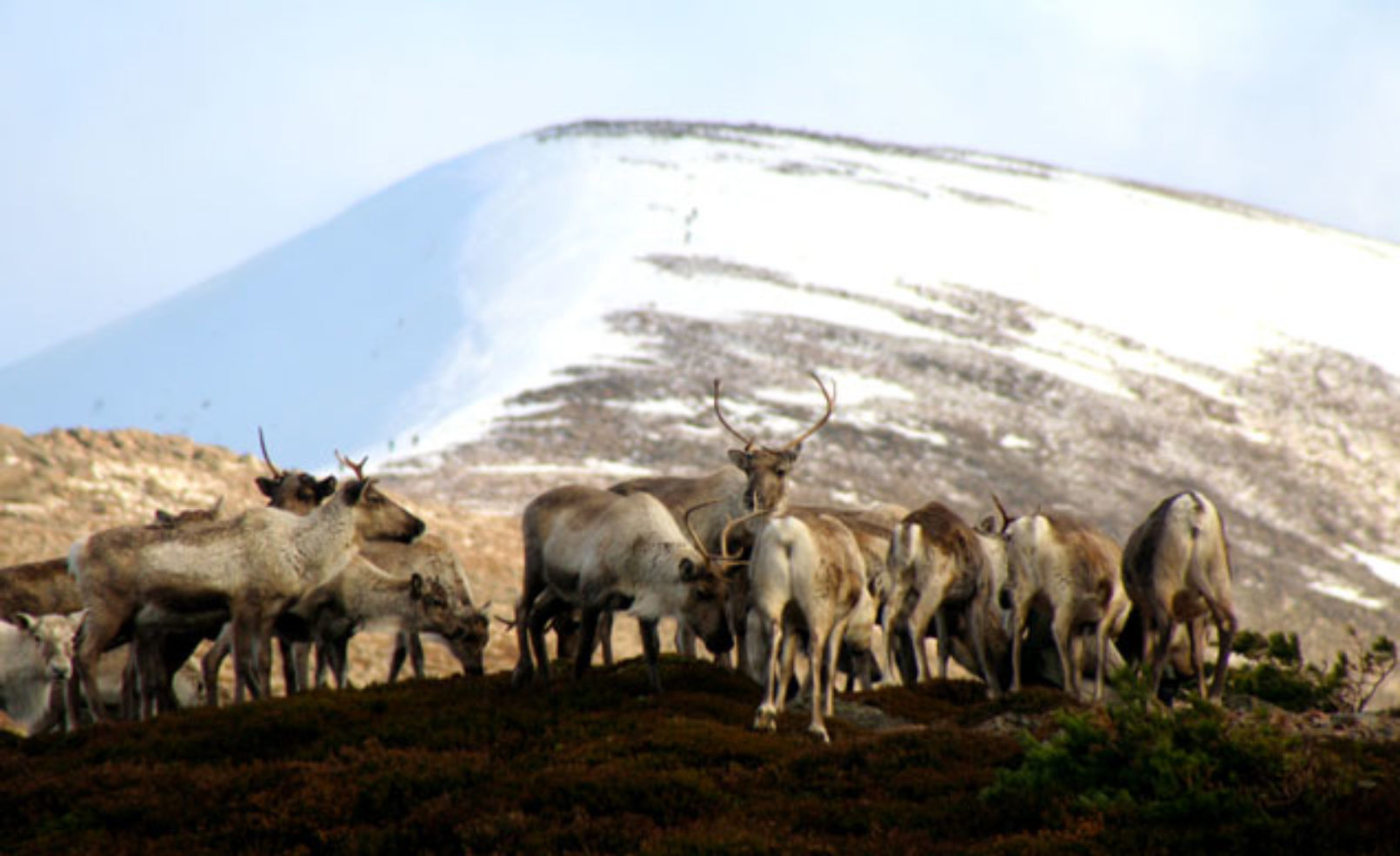 Cairngorm Centre