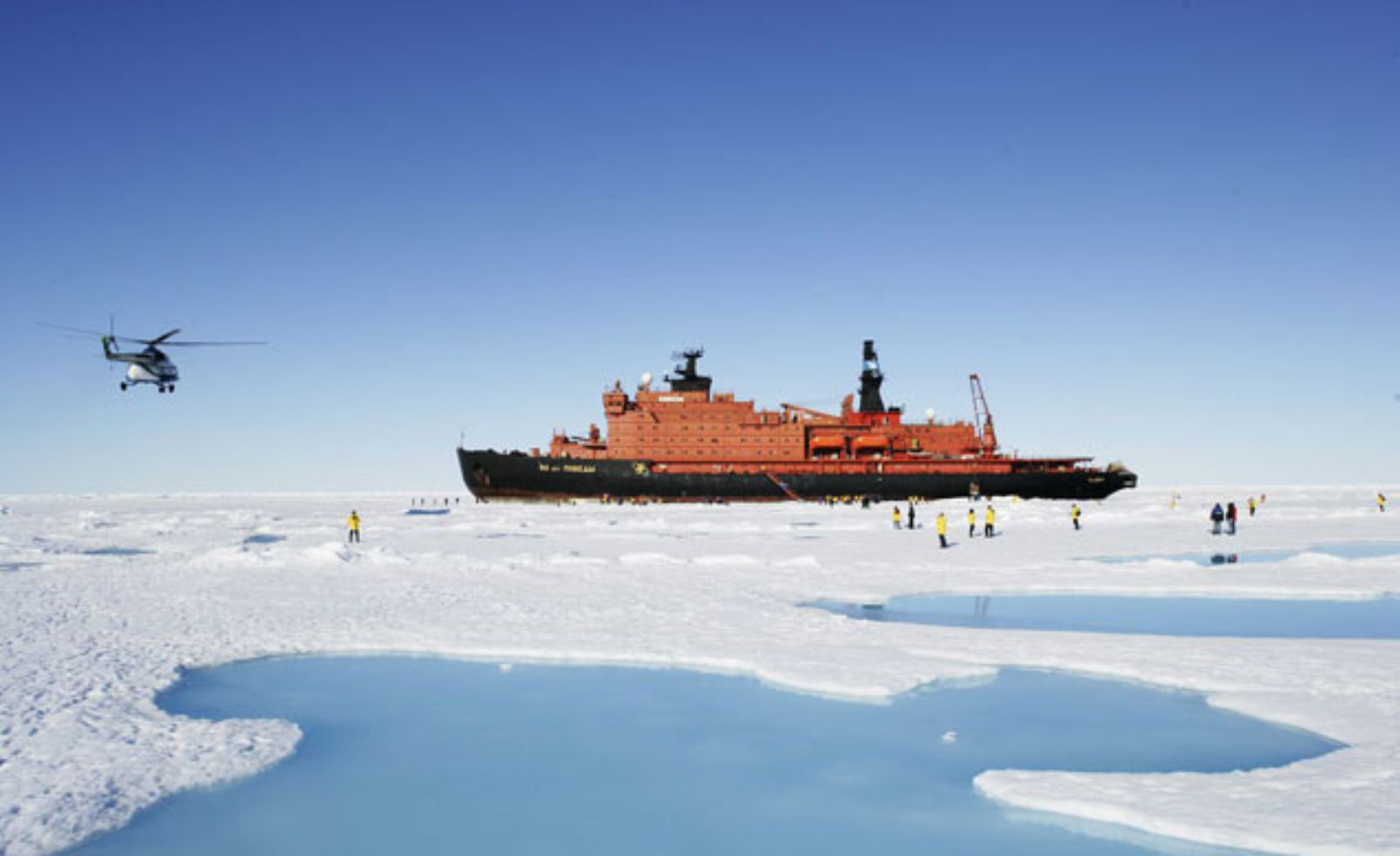 Quark Expeditions